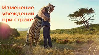 Изменение убеждений замешанных на страхе | психотерапевт Александр Кузьмичев Изменение убеждений замешанных на страхе | психотерапевт Александр Кузьмичев