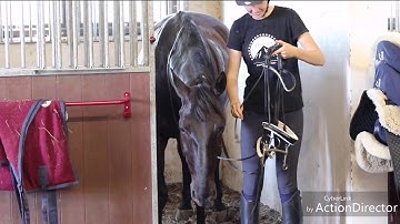 Introducing the double bridle in 3 days!