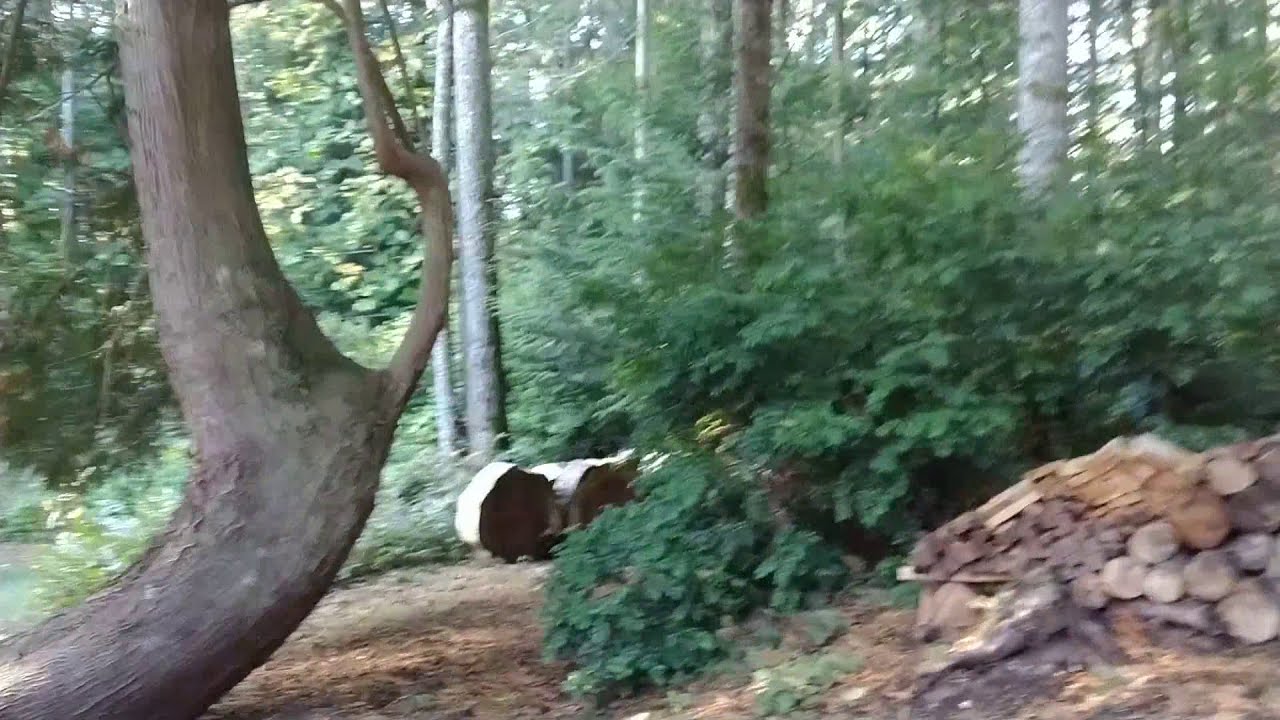 Explore Bainbridge Island Neighborhoods: $1,195,000 Hidden Cove Estates Home.