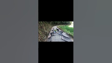 The locust 3D \ Creative Idea of 3D drawing.#shorts