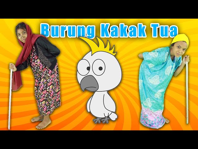 BURUNG KAKAK TUA ♥ Lagu Anak dan Balita Indonesia class=