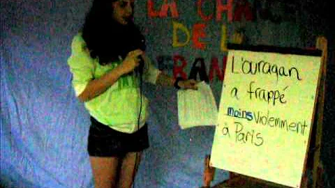 SARAH ROTHSTEIN  FRENCH PROJECT