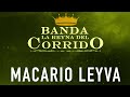 Banda La Reyna del Corrido - Macario Leyva [ Audio Oficial ] MusiCanal