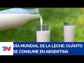 TN CAMPO I Día mundial de la leche: cuánto consumen los argentinos