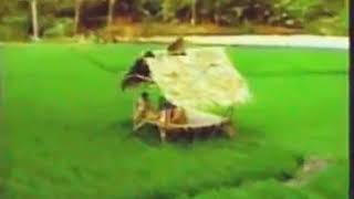 Download lagu STATION ID RCTI 2006 Versi Sawah