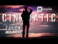 How to Cinematically Color Match Video Clips in CapCut (Pro Color Grading)