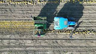 Kombajn Do Dyni Abbo Kpz1