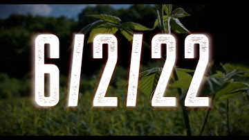 Hallucinations - Teaser Trailer