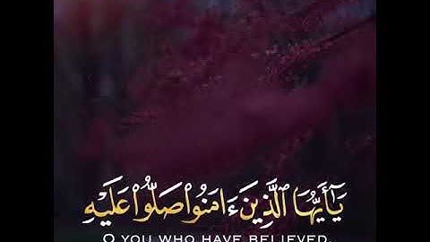 تلاوة هادئة وقصيرة  || القارئ : أحمد النفيس || سورة : الأحزاب 🌷💚🌷