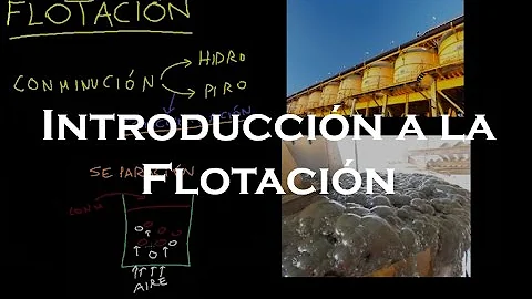 ¿Cuáles son los tres tipos de flotación?