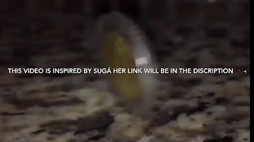 MESSAGE MAN ~ msp music video || Canadian MSP Stars