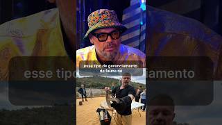 Você teria coragem de comer carne de girafa, antílope, zebra?