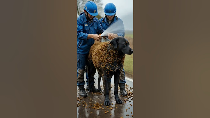 Brave Rescue Dog covered In Bees During Emergency Operation
