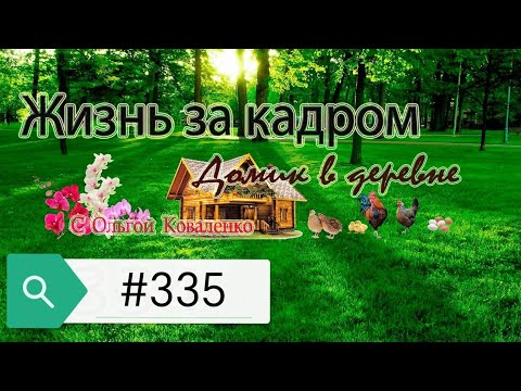 Жизнь за кадром  335