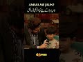 "Amma mein Jaun?". #saniamirza #shoaibmalik #ahsankhan #reels #expresstv