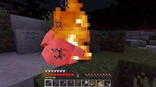 Minecraft but Pigs Drop lv100 Enchanted Gear!