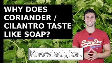 Can I use coriander seeds instead of cilantro?
