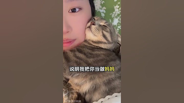 猫咪喜欢睡床尾，那你要小心了，家庭“弟位”已定 #猫咪睡觉 #猫咪睡觉位置 #猫咪睡床尾