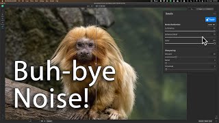 Removing NOISE in Photoshop with NoNoise AI