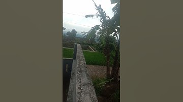 lucu! lagu india apa lagu sunda? hayang modol, yang ngerti bahasa sunda pasti ketawa #komedi