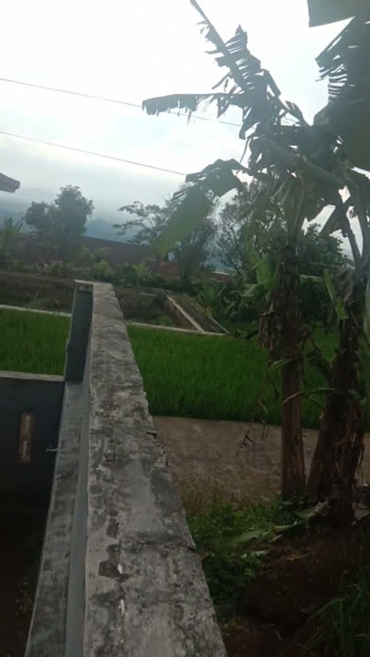 lucu! lagu india apa lagu sunda? hayang modol, yang ngerti bahasa sunda pasti ketawa #komedi