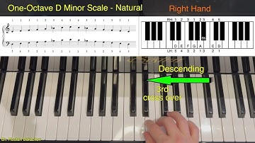 🎹 Learn One-Octave D Minor Scale, Natural – Step by Step! 🎶 Music Lessons with Dr. Ruslan. Basics