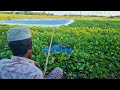 Fishing Video The Village Boy Fishing Big Catfish Using Bamboo Rod Best Amazing Fishing Video😲