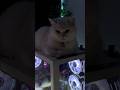 CRAZY SETUP #viral #shorts #youtubeshorts #trending #edit #goviral #subscribe #like #gaming #setup