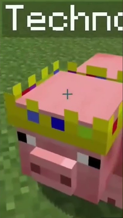 name tag in Minecraft for pig to get technoblade crown😪😪