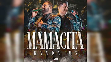 Banda MS De Sergio Lizárraga - Mamacita