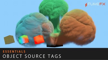 FumeFX C4D Essentials - Object Source Tags