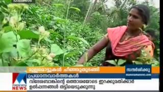 Heavy rain; Jasmine cultivation in crisis