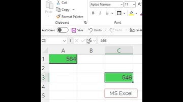 MS Excel Using Format Painter to Copy Cell Formatting