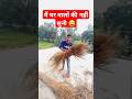 मैं घर वालों के नहीं सुनी😅#funny #comedy #shortsviral #shortvideo Dk ff383