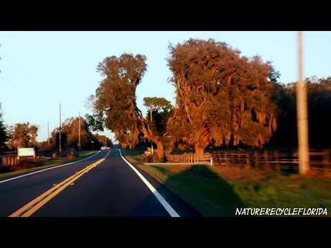 Video: 8 Pārsteidzošas Vietas, Par Kurām Jūs, Iespējams, Nekad Neesat Dzirdējis, Citrus County, Florida