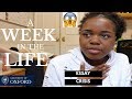 Uni vlog  crise de la rdaction  semaine dans la vie dun tudiant doxford  mlle varz