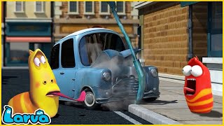 LARVA | COLLIDE | CARTOON MOVIE FOR LIFE | THE BEST OF CARTOON |HILARIOUS CARTOON COMPILATION by ENJO Cartoon Việt Nam 31,151 views 2 weeks ago 1 hour