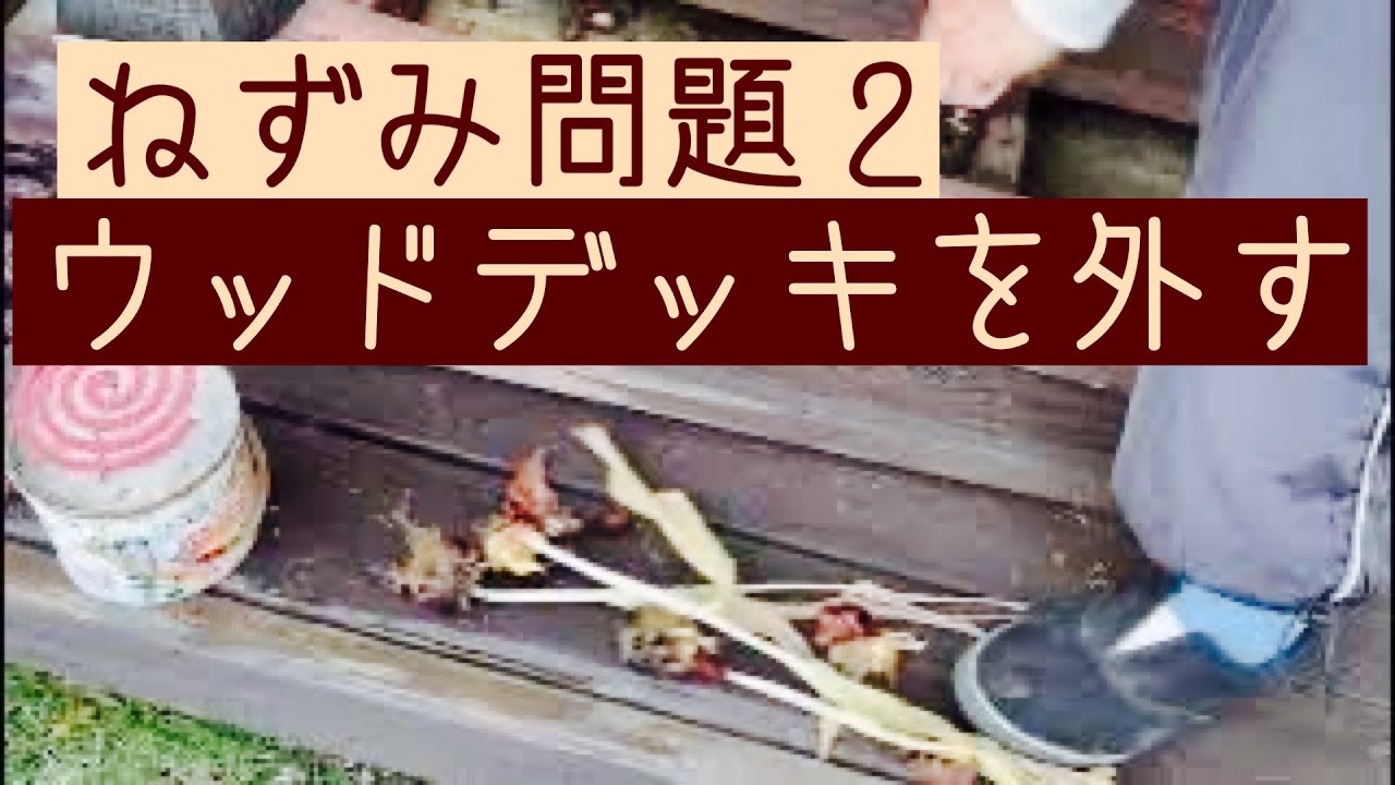 ネズミ被害2/ウッドデッキを外す【ガーデニング】 YouTube