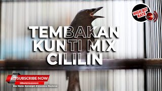 🔴Mewah Ini Srigunting Abu Abu Gacor Isian Cililin Mix Kunti ❗️PANJANG