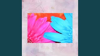 Scintillating Ambiance for Breezy Paces