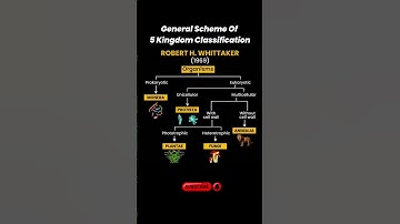 Mastering the 5 Kingdom Classification System | Quick Guide