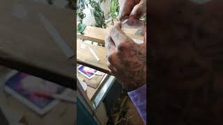 Germinating some new seeds!