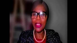 Thuli Madonsela says Justice Sandile Ngcobo has applied a wrong law in the wrong case of Phalaphala