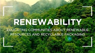 Introducing RENEWABILITY
