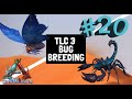 Ark Crystal Isles - TLC 3 Bug Breeding - Parte 1 - ep. 20 [ITA]