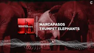 Marcapasos - Trumpet Elephants (Official Visualizer)