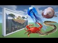 How To Make a Blobfish, Crab, Eel, and Jellyfish Farm in Minecraft PE