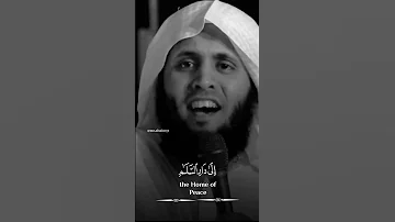 والله يدعو إلى دار السلام بصوت منصور السالمي 