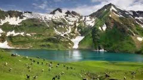 تلاوات خاشعه للشيخ محمود الشحات محمد انور بواسطة احمد الهلالي