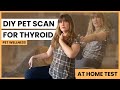 How to check the health of your pets thyroid at home